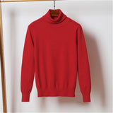 Female Sweater New 2019